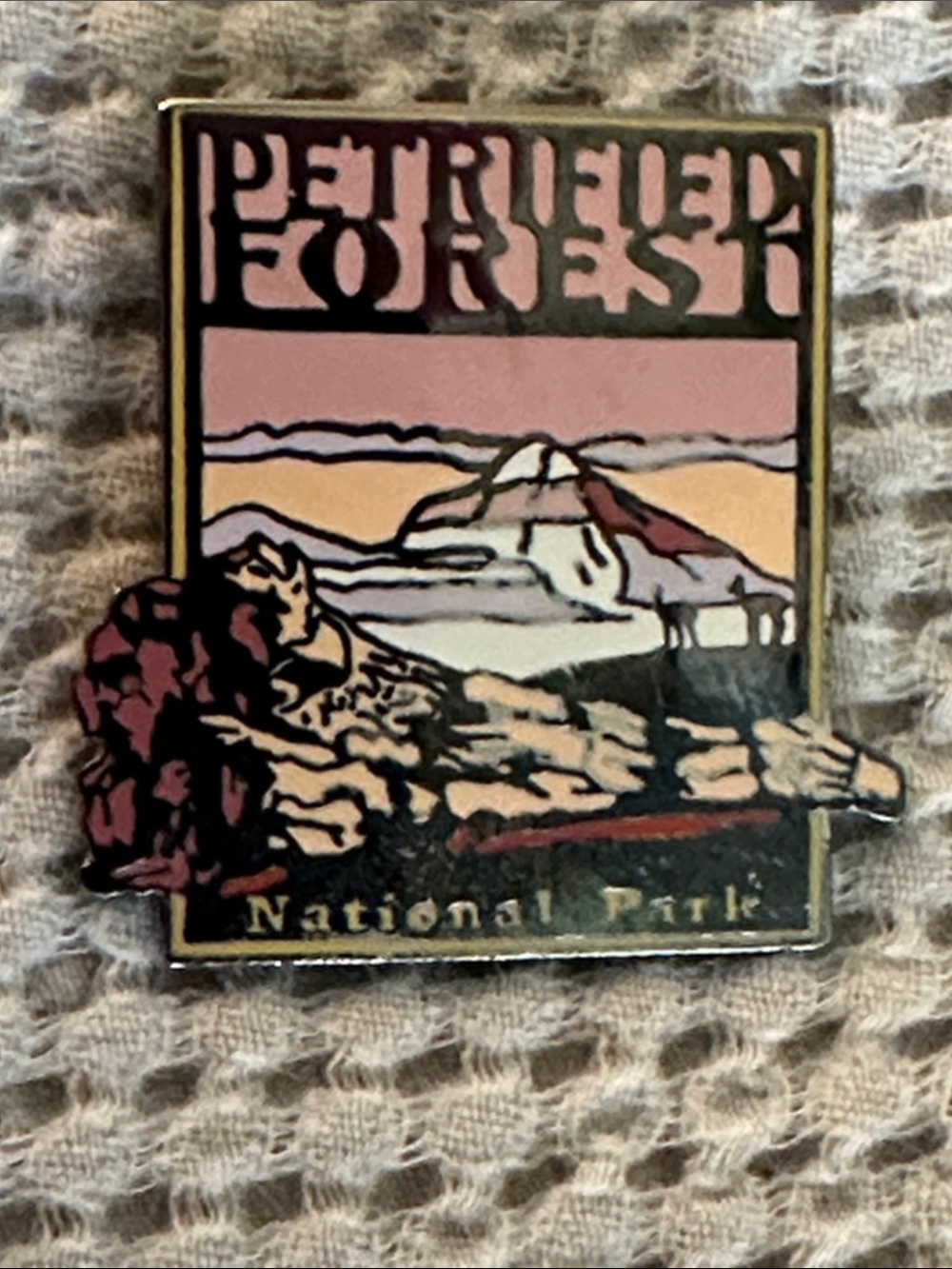 Petrified Forest National Park Pin